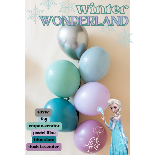 Frozen OR Winter Wonderland Balloon Garland